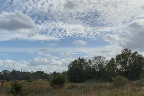 Land in Lake Wales, Florida № 2166198 - photo 5