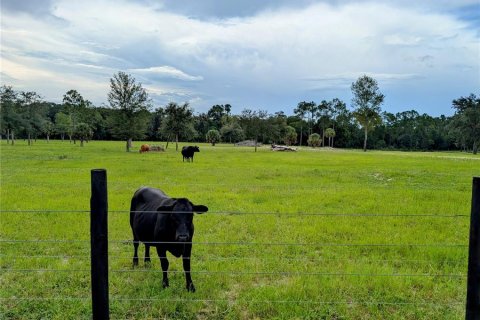 Terreno en venta en Pierson, Florida № 1845237 - foto 5