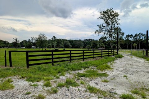 Terreno en venta en Pierson, Florida № 1845237 - foto 2