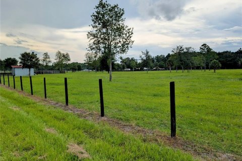 Terreno en venta en Pierson, Florida № 1845237 - foto 4