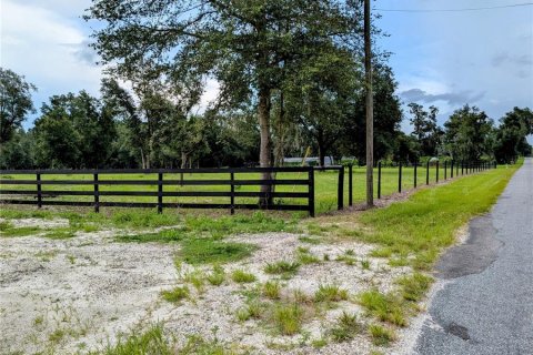 Terreno en venta en Pierson, Florida № 1845237 - foto 3