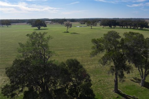 Terreno en venta en Reddick, Florida № 1526237 - foto 8
