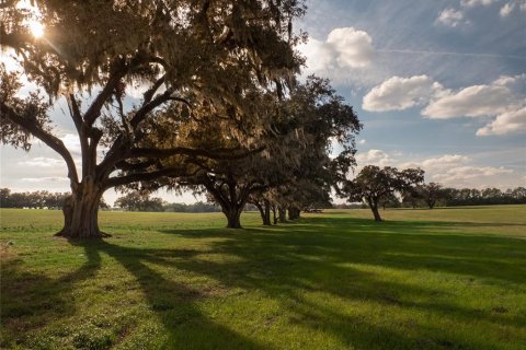 Terreno en venta en Reddick, Florida № 1526237 - foto 1