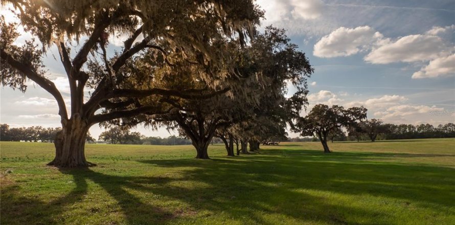 Terreno en Reddick, Florida № 1526237