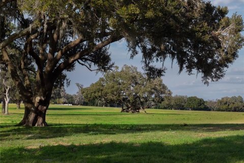 Terreno en venta en Reddick, Florida № 1526237 - foto 5