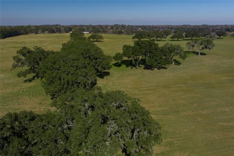 Terreno en venta en Reddick, Florida № 1526237 - foto 7