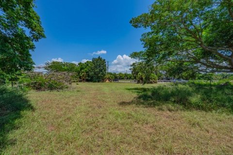 House in Riverview, Florida 2 bedrooms, 90.58 sq.m. № 2201083 - photo 25