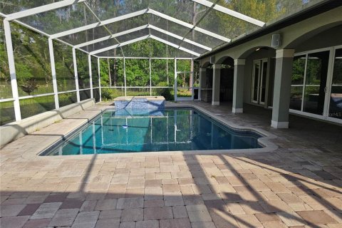 Villa ou maison à louer à Tarpon Springs, Floride: 2 chambres, 149.02 m2 № 1625402 - photo 12