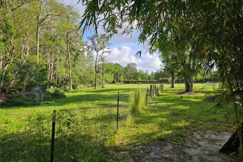 Villa ou maison à louer à Tarpon Springs, Floride: 2 chambres, 149.02 m2 № 1625402 - photo 6