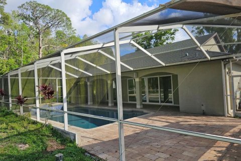 Villa ou maison à louer à Tarpon Springs, Floride: 2 chambres, 149.02 m2 № 1625402 - photo 11