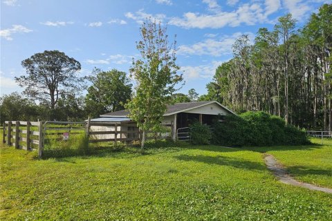 Villa ou maison à louer à Tarpon Springs, Floride: 2 chambres, 149.02 m2 № 1625402 - photo 5