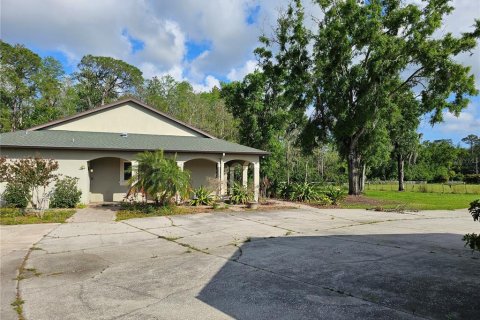 Villa ou maison à louer à Tarpon Springs, Floride: 2 chambres, 149.02 m2 № 1625402 - photo 10