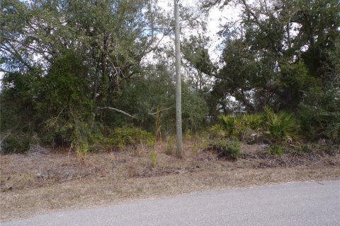 Land in Punta Gorda, Florida № 2234951 - photo 9