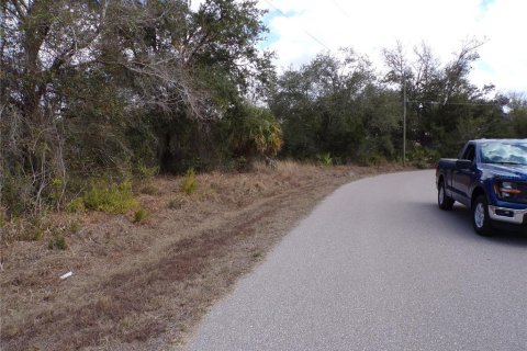 Land in Punta Gorda, Florida № 2234951 - photo 7