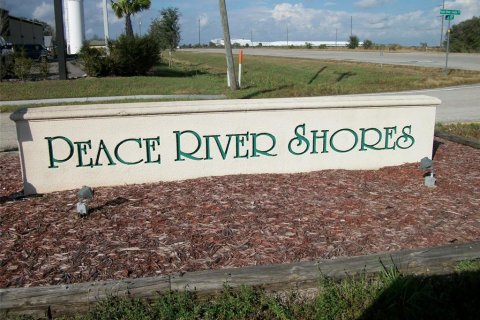 Land in Punta Gorda, Florida № 2234951 - photo 17