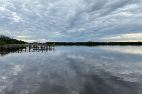 Land in Punta Gorda, Florida № 2234951 - photo 23