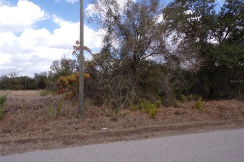 Land in Punta Gorda, Florida № 2234951 - photo 6