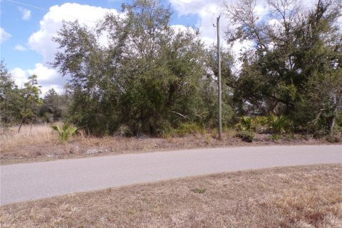 Land in Punta Gorda, Florida № 2234951 - photo 2