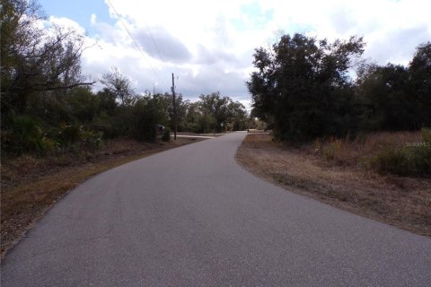 Land in Punta Gorda, Florida № 2234951 - photo 15