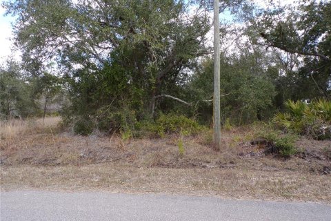 Land in Punta Gorda, Florida № 2234951 - photo 10
