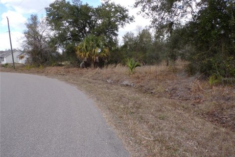 Land in Punta Gorda, Florida № 2234951 - photo 14