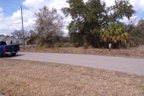 Land in Punta Gorda, Florida № 2234951 - photo 3