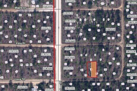Land in Interlachen, Florida № 2165284 - photo 2