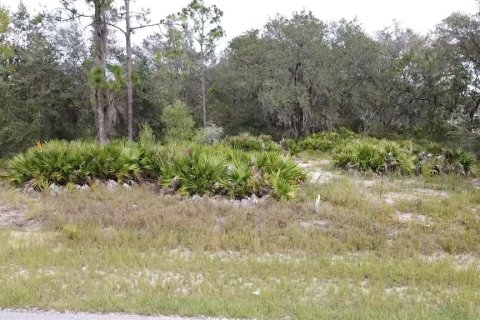 Land in Poinciana, Florida № 997338 - photo 17