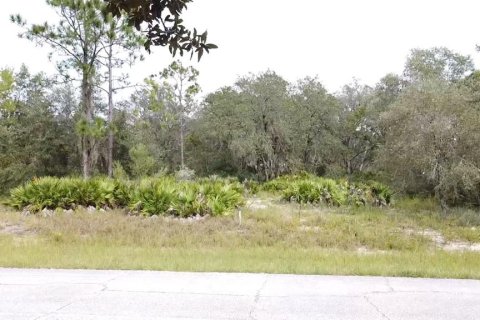 Land in Poinciana, Florida № 997338 - photo 2