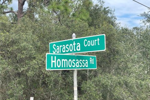 Land in Poinciana, Florida № 997338 - photo 11