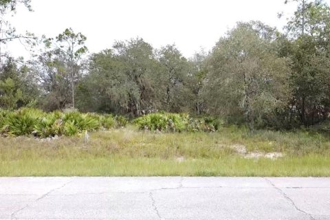 Land in Poinciana, Florida № 997338 - photo 5