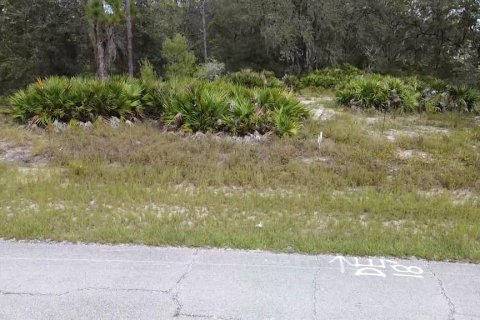 Land in Poinciana, Florida № 997338 - photo 13