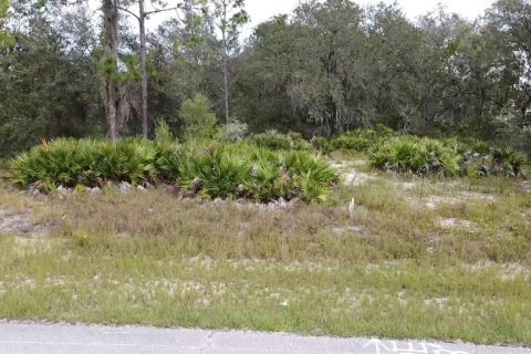 Land in Poinciana, Florida № 997338 - photo 14