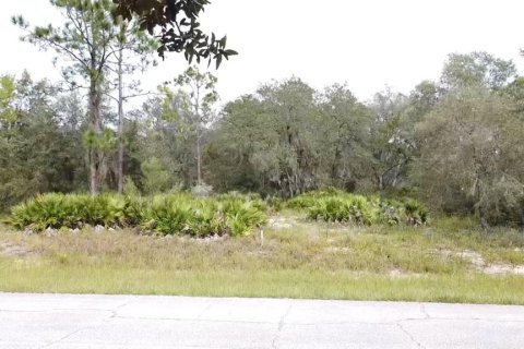 Land in Poinciana, Florida № 997338 - photo 12