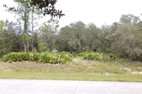 Land in Poinciana, Florida № 997338 - photo 21