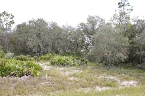 Land in Poinciana, Florida № 997338 - photo 1