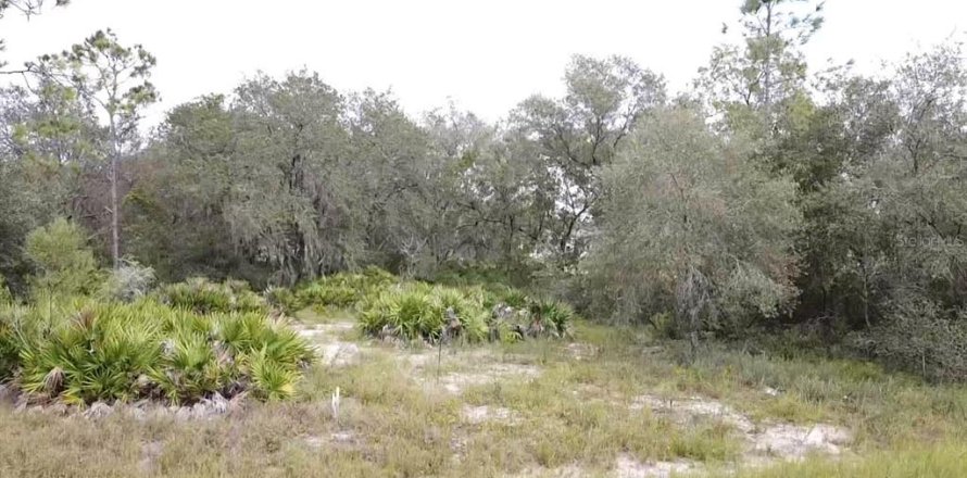 Land in Poinciana, Florida № 997338