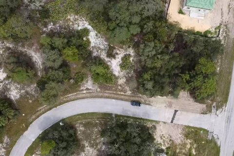 Land in Poinciana, Florida № 997338 - photo 8