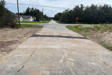 Land in Poinciana, Florida № 997338 - photo 20