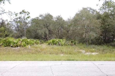 Land in Poinciana, Florida № 997338 - photo 4