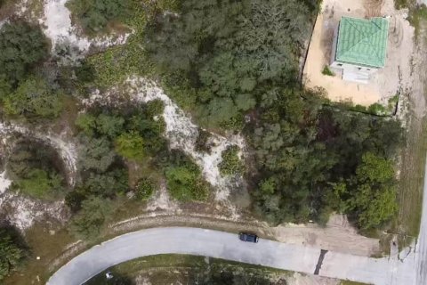 Land in Poinciana, Florida № 997338 - photo 24