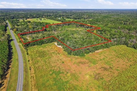Terrain à vendre à La Crosse, Floride № 2425269 - photo 4