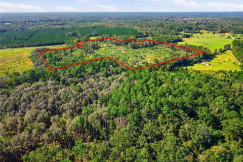 Terrain à vendre à La Crosse, Floride № 2425269 - photo 6