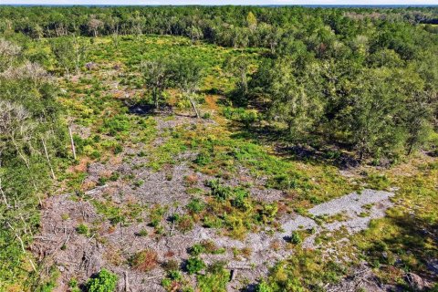 Terrain à vendre à La Crosse, Floride № 2425269 - photo 15