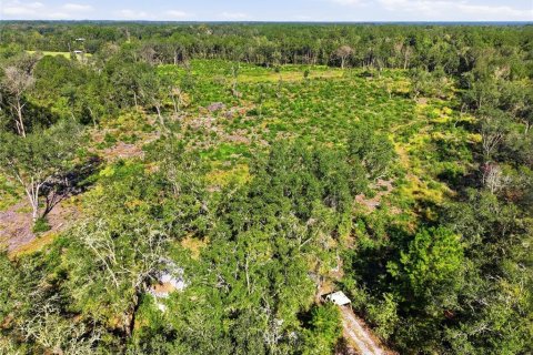 Terrain à vendre à La Crosse, Floride № 2425269 - photo 13