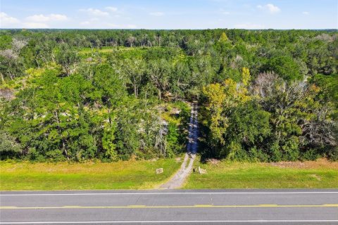 Terrain à vendre à La Crosse, Floride № 2425269 - photo 7