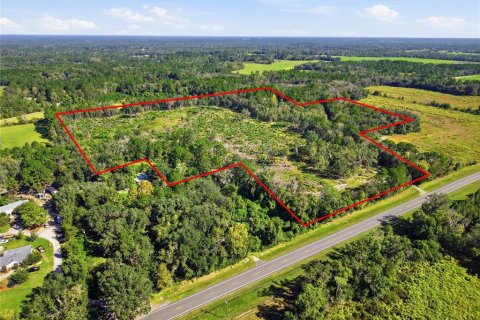 Terrain à vendre à La Crosse, Floride № 2425269 - photo 2
