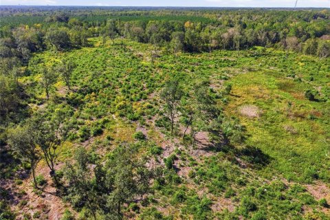 Terrain à vendre à La Crosse, Floride № 2425269 - photo 11