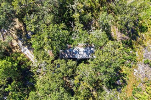 Terrain à vendre à La Crosse, Floride № 2425269 - photo 8