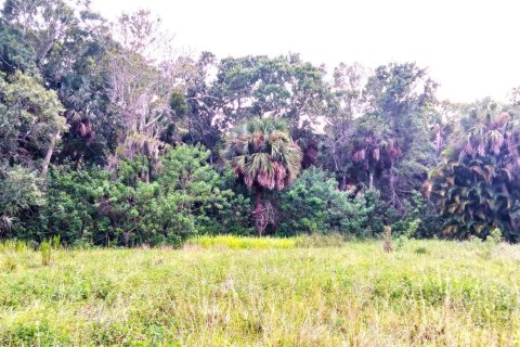 Commercial property in St. Lucie, Florida № 2147084